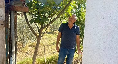 10 yıldır beslediği cins tavuklarını çaldıktan sonra kesip sattılar