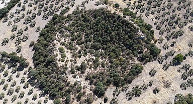 2 bin 400 yıllık tiyatro