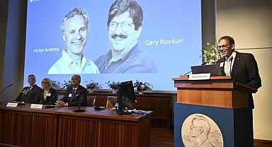 2024 Nobel Tıp Ödülü'ne ABD'li biyologlar Ambros ve Ruvkun layık görüldü