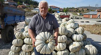 25 yıl önce deneme amaçlı ektiler, şimdi 40 şehre satıyorlar