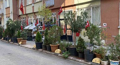 'Sevgililer Aşıklar Parkı' renkli görüntüsüyle dikkat çekiyor