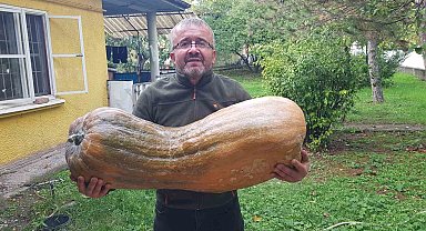 40 kilogramlık 110 santimetrelik kabak görenleri şaşırttı