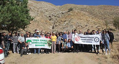 6 ülkeden 10 gönüllü Sivas'ı yeşertmek için kolları sıvadı