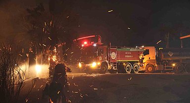 Adana'da ormanlık alanda yangın