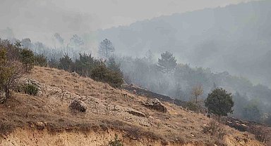 Afyonkarahisar'da orman yangını