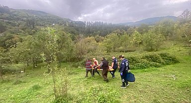 Ağaçtan düşen vatandaş 3 saat süren çaba ile hastaneye ulaştırılabildi