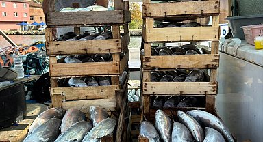 Ağına bol miktarda palamut takılan balıkçının görülmeye değer sevinci