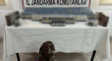 Ağrı'da kaçakçılık operasyonu
