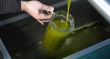 Ahmet Çetin "Zeytinyağı pahalı olmayı hak eder"