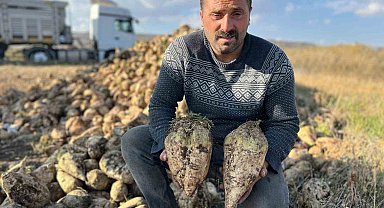 Akyaka'da pancar hasadı başladı