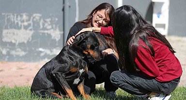 Aliağalı öğrencilerden Pati Park'a ziyaret