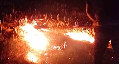 Altınözü'de anız yangını