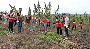 Amasya Üniversitesi kenevir üretimine başladı, hasada öğrenciler de katıldı