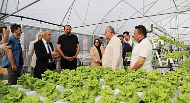 Amasya Üniversitesinde serada üretim