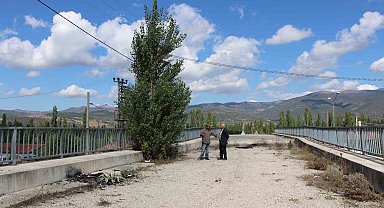 Amasya'da 16 yıldır tamamlanamayan üstgeçitte ağaçlar bitti