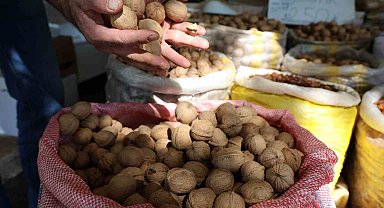 Amerika'nın 'Chandler' cevizine rakip 'Maraş-18' cevizi