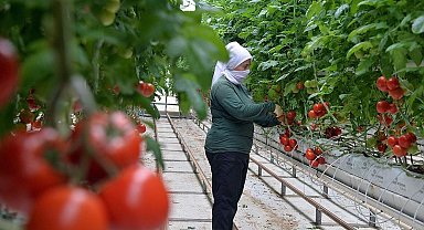 Anadolu coğrafyasının "Beyaz Altını" jeotermal