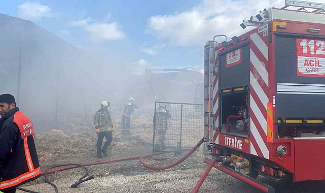 Ankara Akyurt'ta yangın: Saman balyaları tutuştu