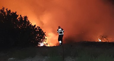 Antakya'da ormanlık alanda yangın