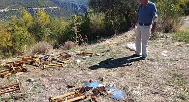 Antalya'da aç kalan ayılar kovanları parçaladı