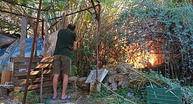 Antalya'da sazlık yangını: 3 sera zarar gördü