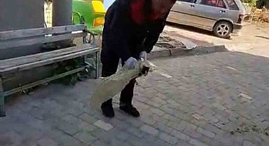 Apartman boşluğuna düşen yavru kediyi itfaiye kurtardı