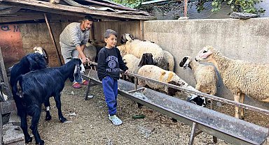 Arabasını satarak hayvancılığa başlayan depremzede baba ve böbrek hastası 2 evladının umudu olan 22 koyunu polis ekipleri buldu