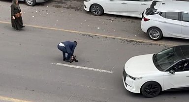 Aracıyla çarptığı kediyi önce yoldan kaldırdı, sonra veterinere götürdü