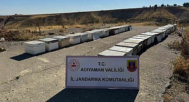 Arı kovanlarını çalan şahıs yakalandı