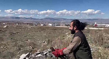 Arı şahini özgürlüğüne kavuştu