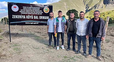 Artvin'de keşfedilen bal, köylünün yeni gelir kapısı oldu