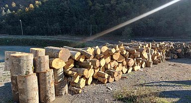 Artvin'de kooperatif başkanı eylemlerin yapıldığı alanda kaçak ağaç kesmekten gözaltına alındı