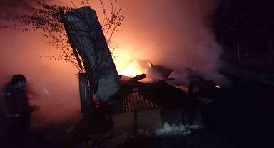 Artvin'de köyde çıkan yangında samanlık kullanılamaz hale geldi