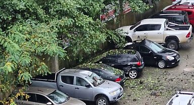 Artvin'in Hopa ilçesinde yamaçtan kopan kayalar park halindeki 7 araca hasar verdi