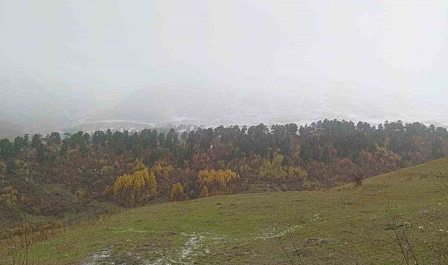 Artvin'in yüksek kesimlerine mevsimin ilk karı düştü