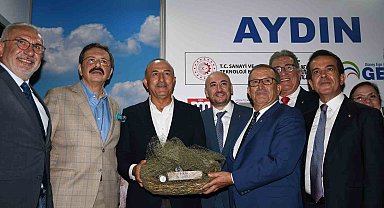Avrupa Birliği Tescilli Aydın Memecik Zeytinyağı'na plaket