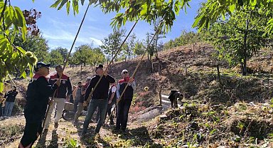 Aydın İl Tarım Müdürü Altıntaş: "Aydın kestane üretiminde birinci sırada yer alıyor"