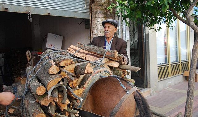 Aydın'da geleneksel kış hazırlıkları başladı