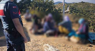 Aydın'da yaklaşık yarım ton incir çalan hırsızlar jandarmaya takıldı