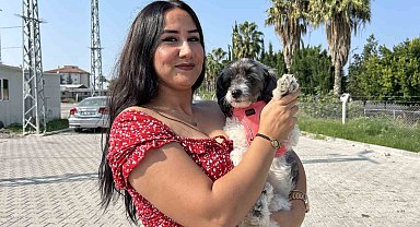 Aylardır sahibine ulaşılamayan Şila'nın yeni yuvası depremzede ailenin konteyneri oldu