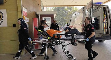 Aynı ağaçtan düşen amca ve yeğen yaralandı