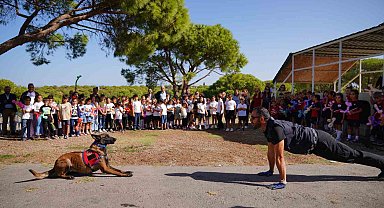 Ayvalık'ta sokak hayvanları unutulmadı
