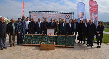 Bafra'da çiftçilere 625 bin adet brokoli fidesi dağıtıldı