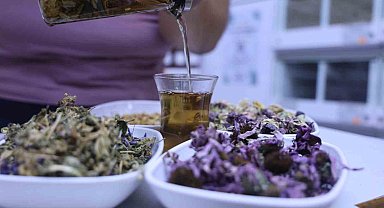 Bağışıklık sistemini güçlendiren dört bitki karışımı: 'Amber çiçeği çay'