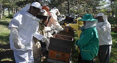 Bal arısı zehri üretim kursu düzenlendi