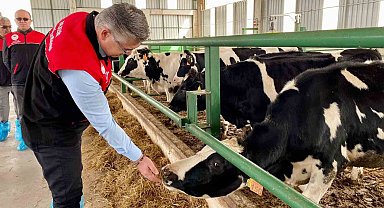 Balıkesir'de AB onaylı işletme sayısı artıyor