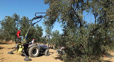 Balıkesirli kaşifin yaptığı makineler zeytin hasadını kolaylaştırdı