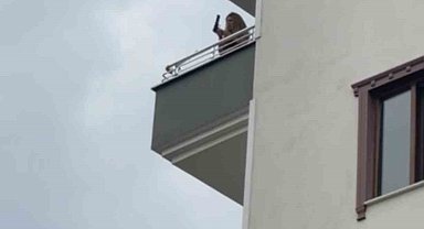 Balkona çıkarak dans eden kadın etrafa ateş etmeye çalıştı