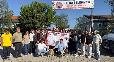 Barınaktan okula sevimli dost