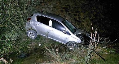 Başıboş köpek kazaya sebep oldu: 1 yaralı